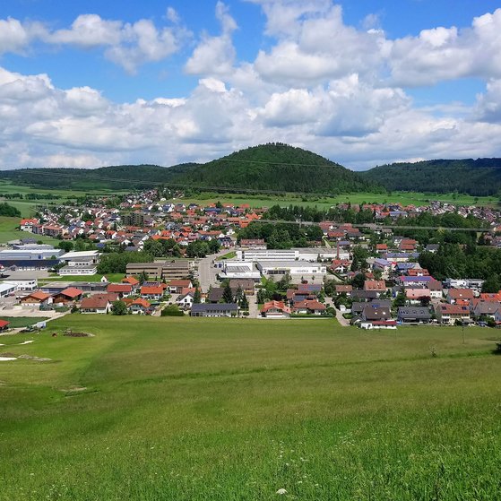 Ansicht der Stadt Burladingen mit gr&uuml;nen Wiesen, roten D&auml;chern und bewaldeten H&uuml;geln unter blauem Himmel.