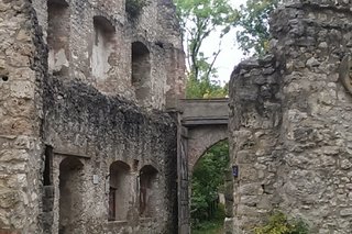 Ruine Hornstein in Bingen