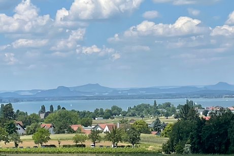 Blick vom Hochwart über die Insel und den Bodensee