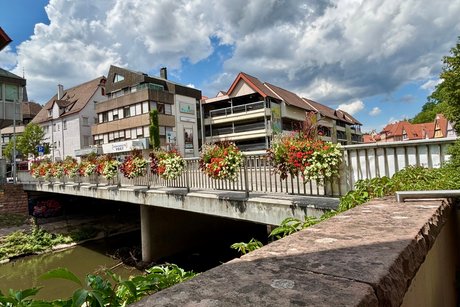 Calw