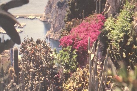 Botanic Center Monaco