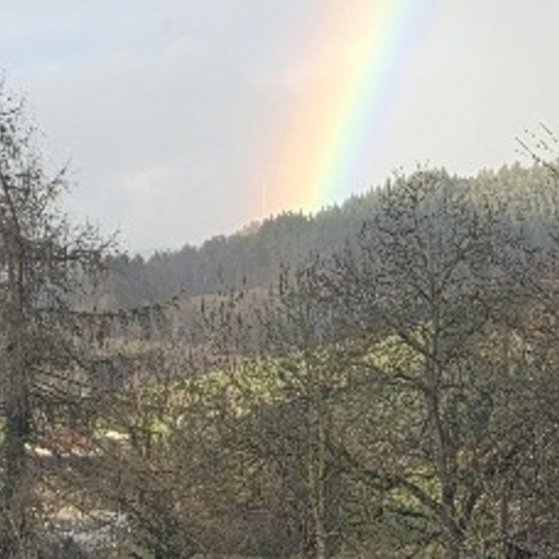Landschaftsbild richtung Schweighausen mit einem Regenbogen