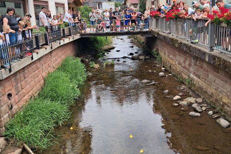 Zuschauer beim Zieleinlauf beobachten die ankommenden Enten