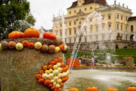 Bl&uuml;hendes Barock