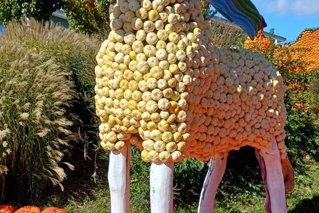 Statue eines Pferdes, dessen Körper aus kleinen Kürbissen besteht