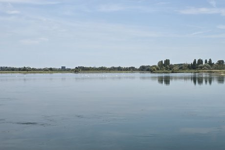 Wollmatinger Ried