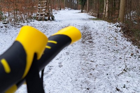 2 Walkingst&ouml;cke im Schnee