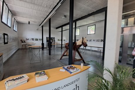 Ausstellungs-/Konferenzraum