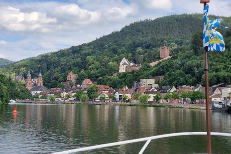 Auf dem Main Blick vom Schiff auf den Main mit Freudenberg. Stadt und Schloss