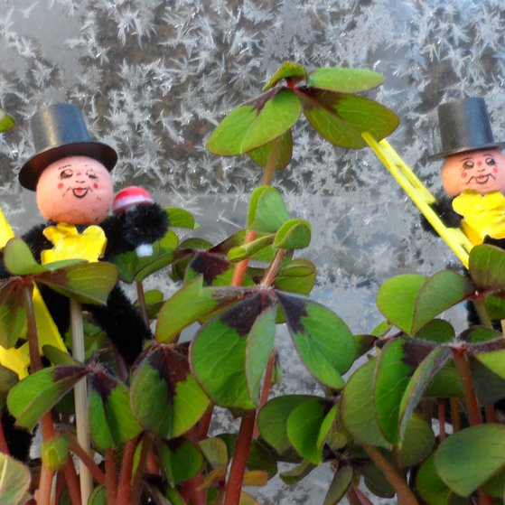 Happy New Year 2026 Schloß Groß-Laupheim