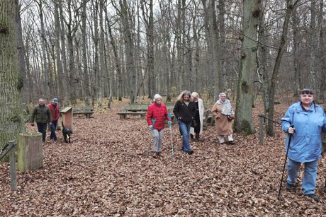 Rundgang im Ruheforst