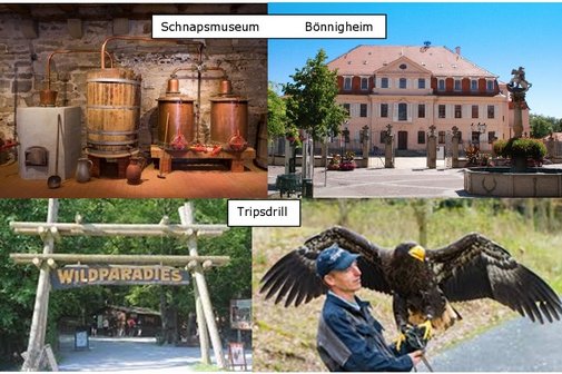 Collage mit Bildern vom Schnapsmuseum und Schlo&szlig; in B&ouml;nnigheim und Flugshow und Eingangsbereich im Wildtierpark Tripsdrill