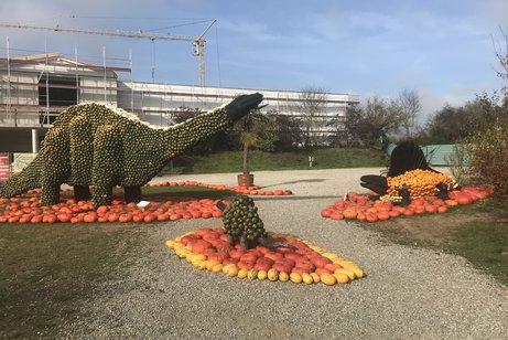 Dinosaurier gemacht aus Kürbissen auf dem Bohrerhof