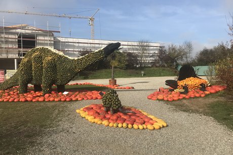 Dinosaurier gemacht aus Kürbissen auf dem Bohrerhof