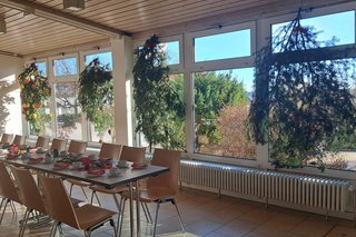 weihnachtlich geschmücktes Foyer in der Schloßbühlhalle