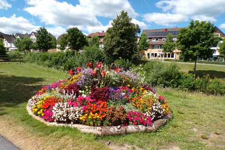 weitere Blumen