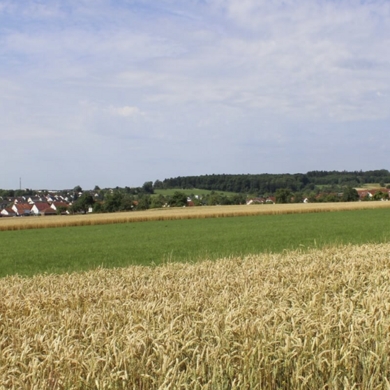 Unter- und Oberjettingen aus östlicher Richtung