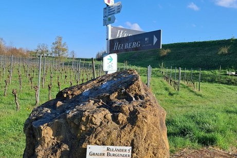 Impressionen vom 02.04.2025