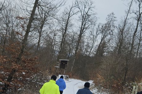 Walkinggruppe im Schnee mehrere Personen von hinten