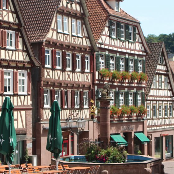 Ehrenamtlich und gemeinschaftlich im VdK Kreisverband Calw