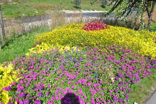 Landesgartenschau Wangen