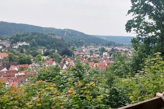 Am Rand steht eine Frau, die den Ausblick auf eine Kleinstadt genießt, die von Wald umgeben ist.