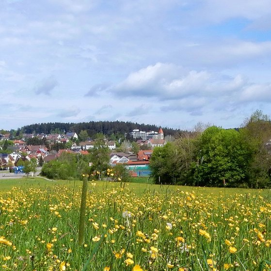 Ansicht Waldachtal