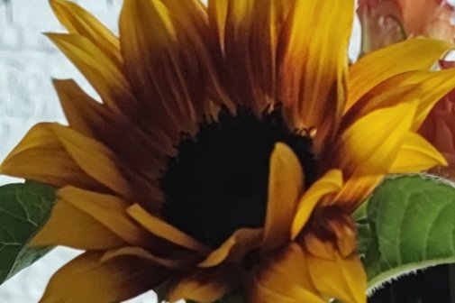 Sommerpause