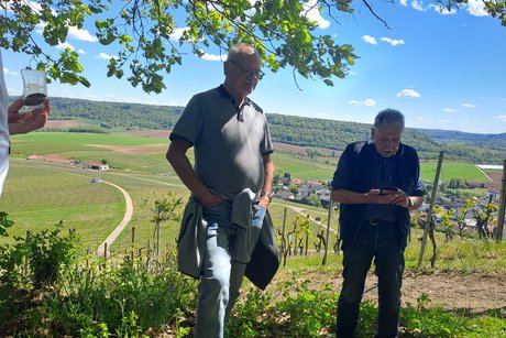 Weinberge