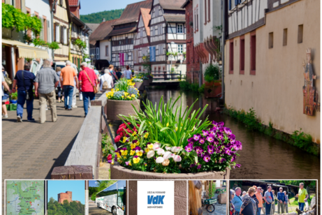 Reisebus unsere Partners Friedmann-Reisen