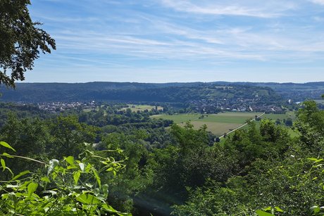 Blick &uuml;ber eine gr&uuml;ne Landschaft