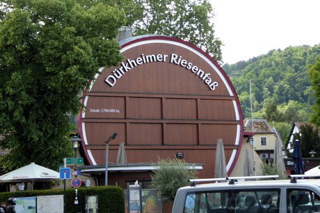Foto vom Ausflug