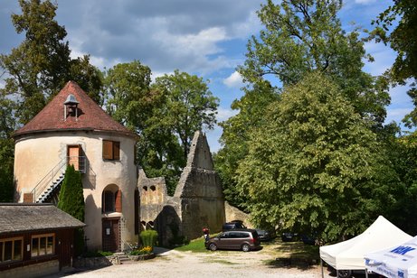 Ruine Hornstein Sommerfest