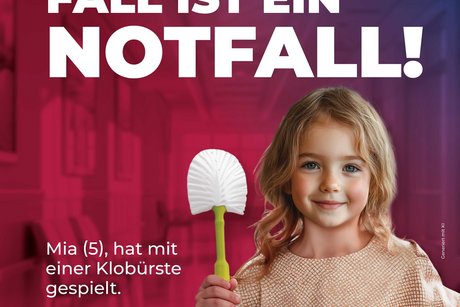 Wohin-im-Notfall - Klobürste
