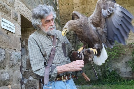 Seeadler Noah