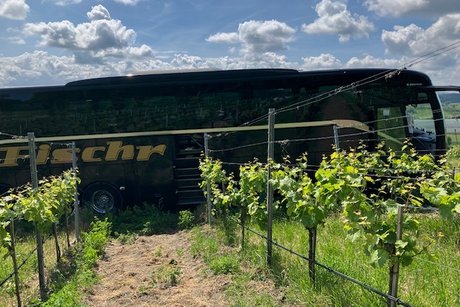 Reisebus in den Weinbergen