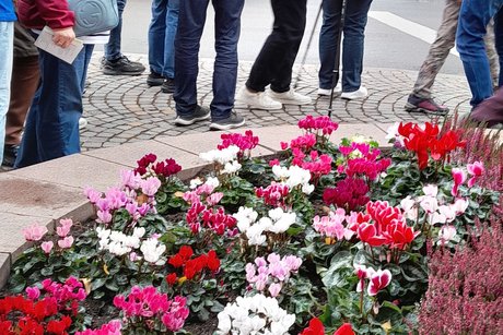 T&ouml;rggelen in S&uuml;dtirol