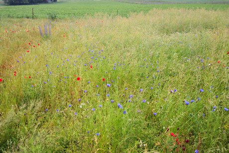 Sommerreise 2025 - Tag 1 - Anreise