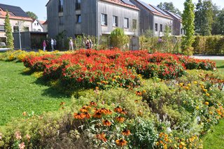 Landesgartenschau Wangen