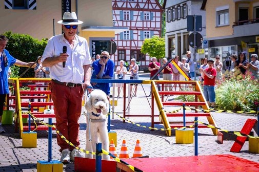 Blindenf&uuml;hrhund