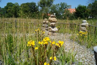 Landesgartenschau in Wangen 19.06.2024