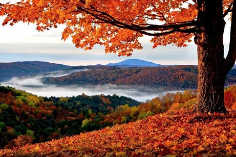 Herbst