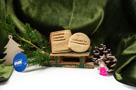 Nahaufnahme eines kleinen Schlittens, auf dem zwei Pl&auml;tzchen stehen. Auf diesen steht geschrieben: "Menschen brauchen Menschen" und "Solidarit&auml;t ist unverhandelbar!". Neben dem Schlitten ist es weihnachtlich dekoriert, mit einer gr&uuml;nen samtigen Decke, einem Tannenzweig sowie Tannenzapfen.