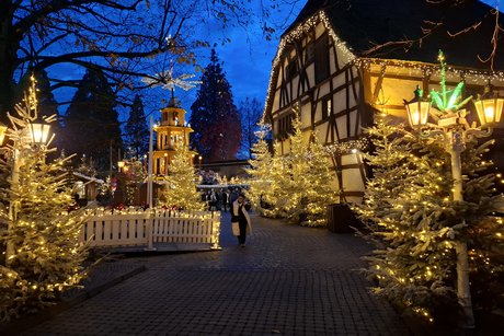 Winterzauber pur im Park