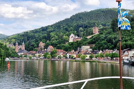Blick vom Schiff auf dem Main auf Freudenberg. Stadt und Burgruine