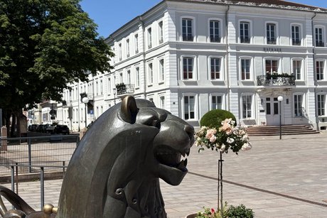 Auf dem Foto sieht man das Rathaus von Zweibr&uuml;cken mit dem bronzenen L&ouml;wen davor neben der Br&uuml;cke