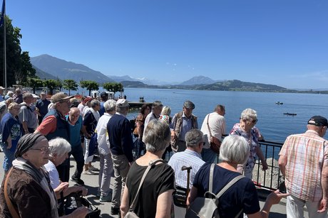 Die Ausflugsteilnehmer an der Seepromenade in Zug mit Blick auf den See und das Bergpanorama