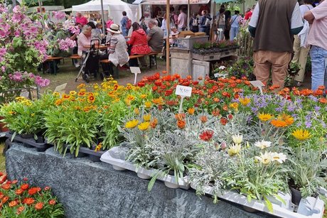 Tagesausflug zur Odenwälder Country Fair am 06.06.2026 Tagesausflug zur Odenwälder Country Fair am 06.06.2026