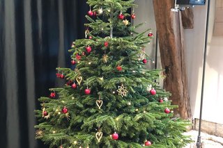 Weihnachtsbaum Alte Kelter