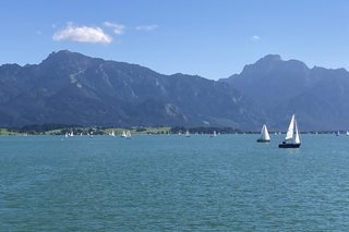 Forggensee